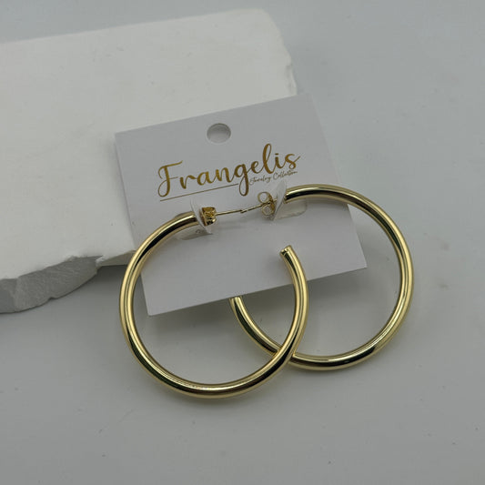 Paula earring